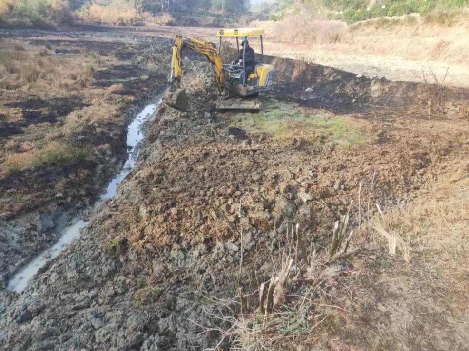 徽州區呈坎鎮：“小田”变“大田”“粮变“良